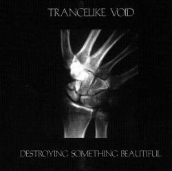 Trancelike Void : Destroying Something Beautiful